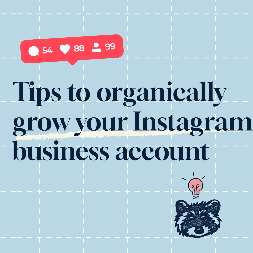 A blog header with the text, "Tips to organically grow your Instagram business account." Image shows a raccoon with an illuminated light bulb about its head, and an Instagram "like, love, and followers" notification.